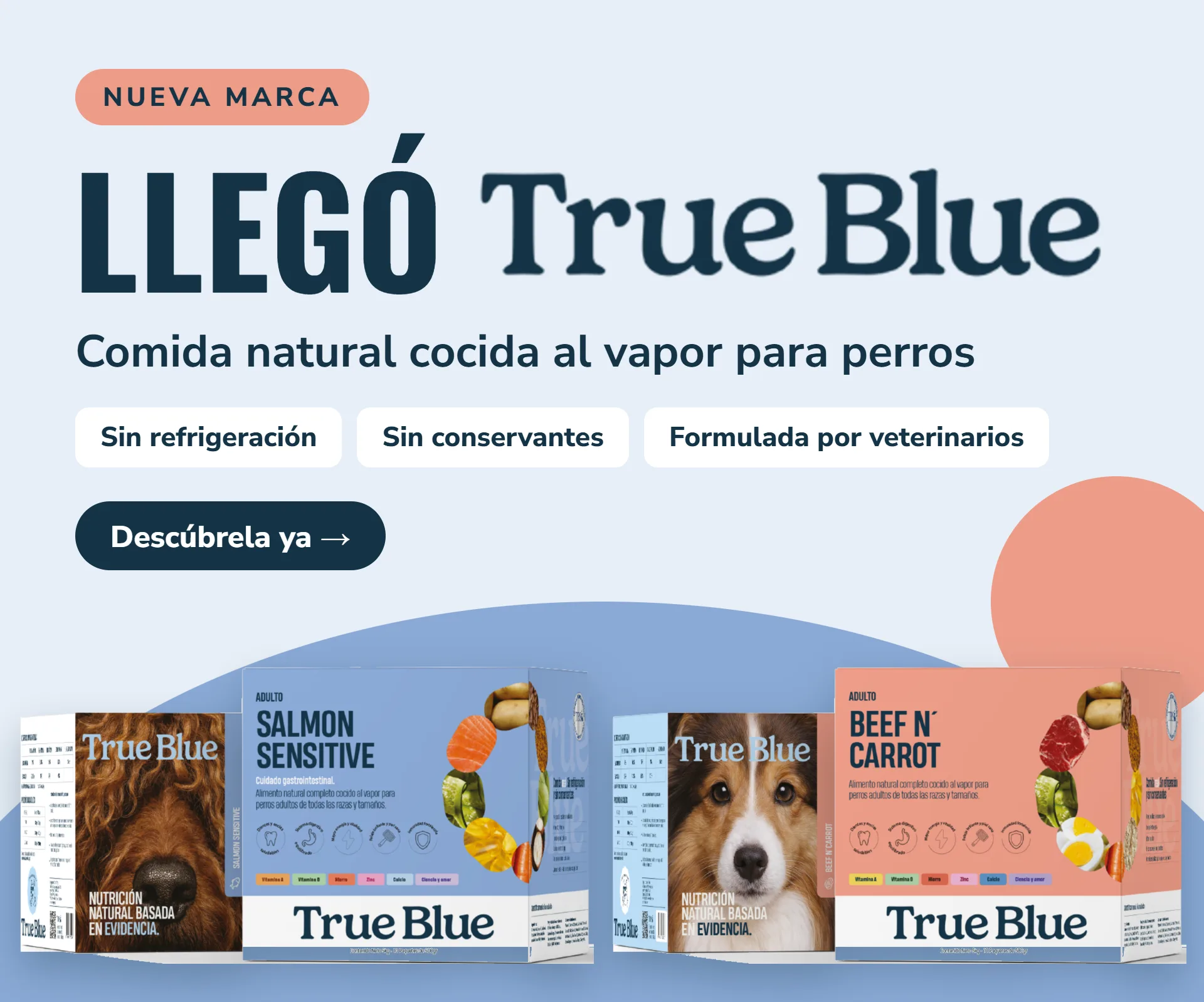 True Blue Medellin a Domicilio