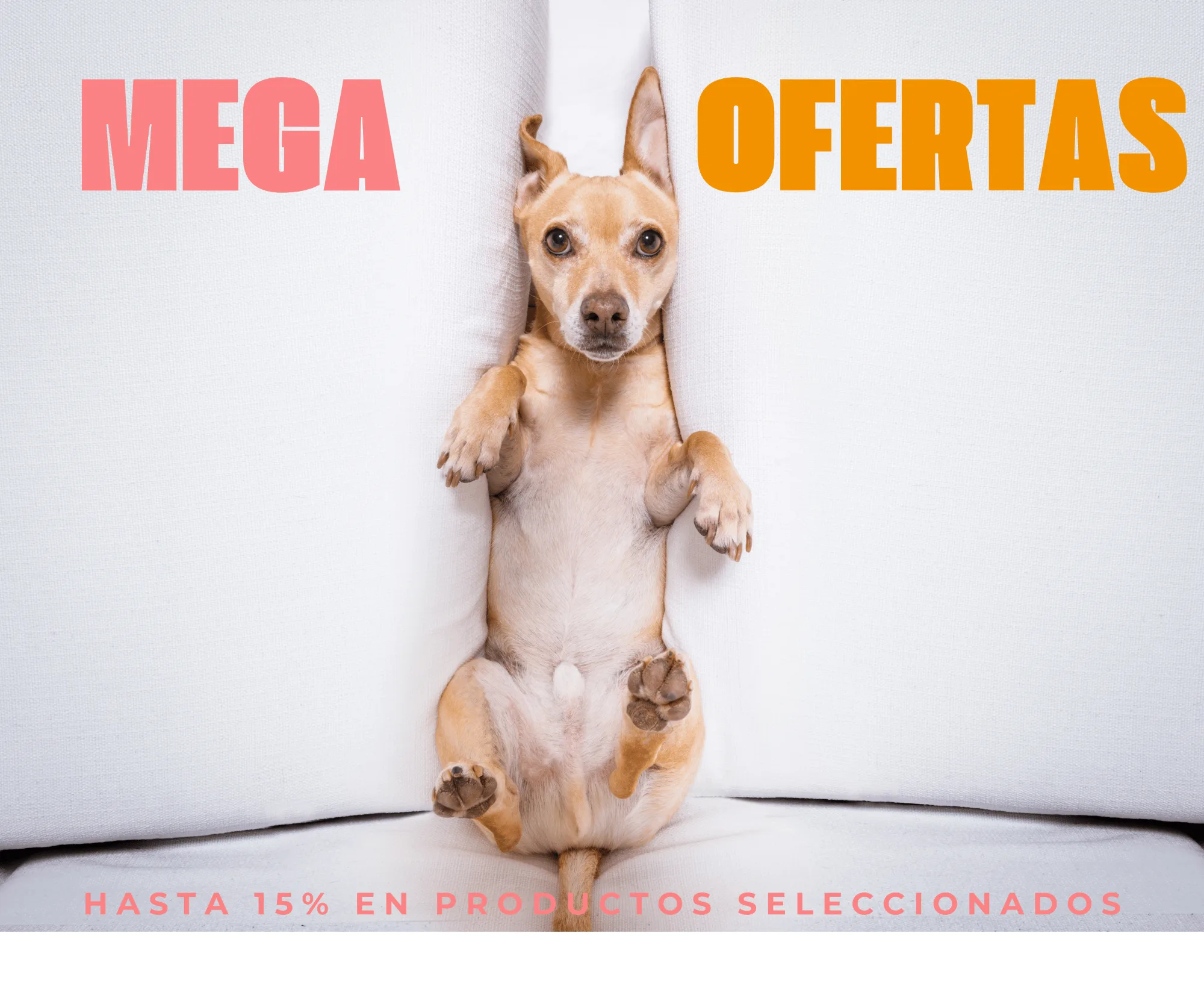 Tienda para mascotas online Medellin